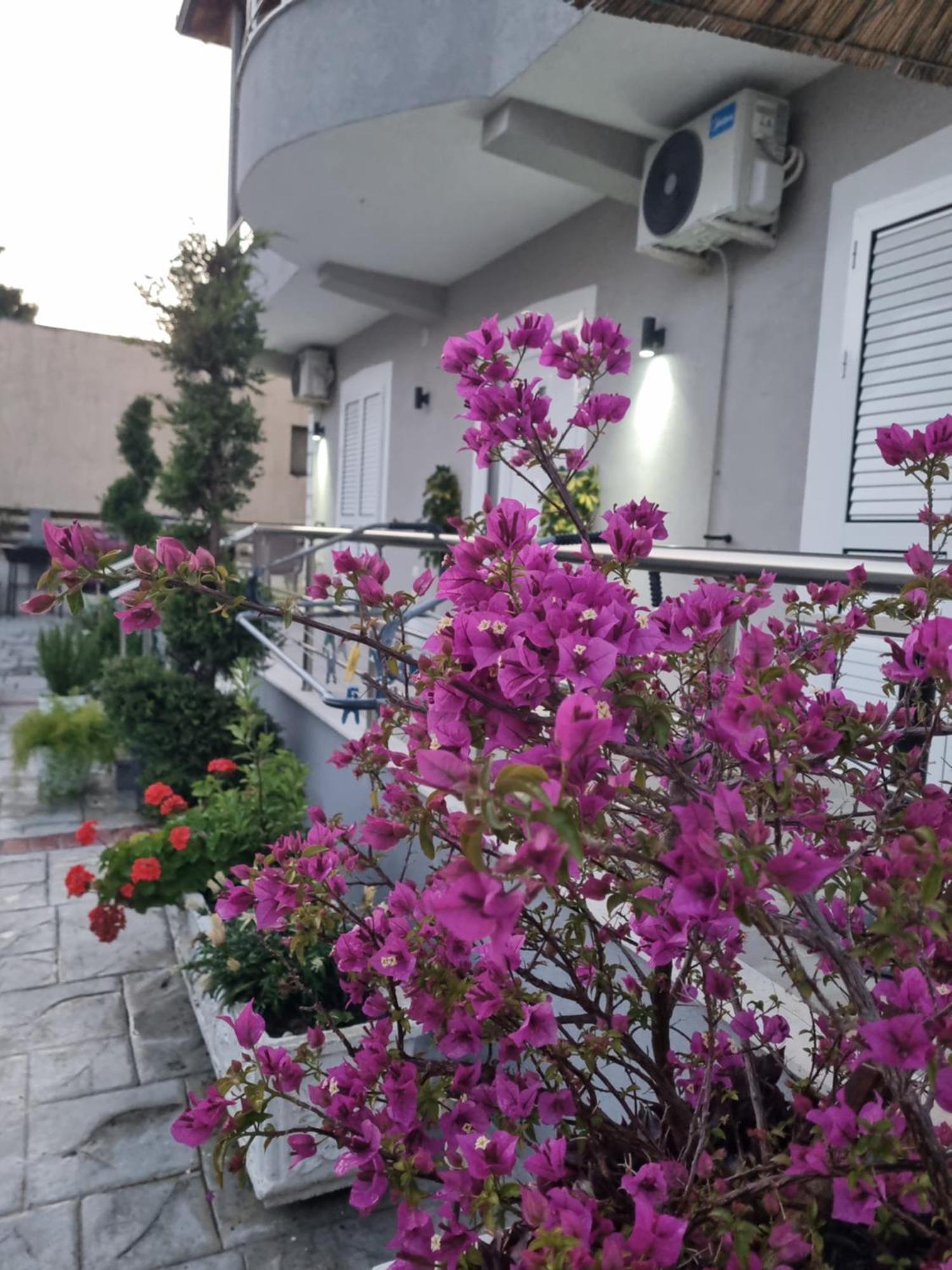 Vila Soleil Vlorë Exterior foto